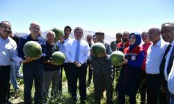 Karaman’da karpuz hasadı başladı