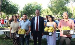 Alaşehir’in en güzel üzümü seçildi