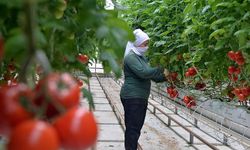 Anadolu coğrafyasının "Beyaz Altını" jeotermal