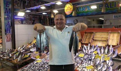 Tezgahlarda palamut bereketi