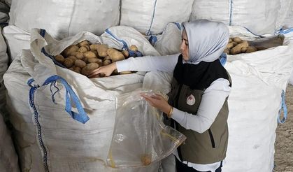 Afyonkarahisar’da Tunus’a 132 ton patates ihracatı yapıldı