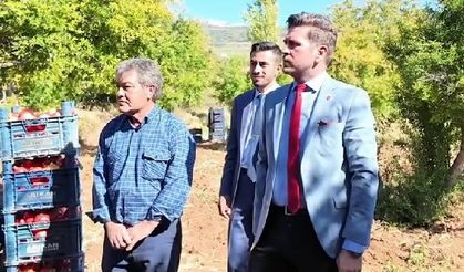 Başkan Tatık, Tavas’ta nar hasadı yapan üreticileri yalnız bırakmadıı