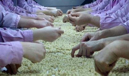 Geçen yılın rakamına 9 ayda ulaşıldı