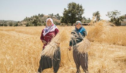 Mersin Büyükşehir Belediyesi, binlerce kadını tarımla buluşturdu