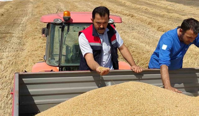 Bozüyük’te biçerdöver denetimi ve hasat yapılan hububat tarlalarında kontroller