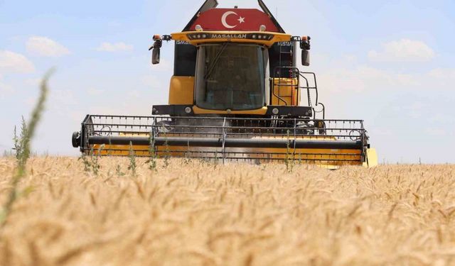 Konya’da buğday rekoltesinde düşüş