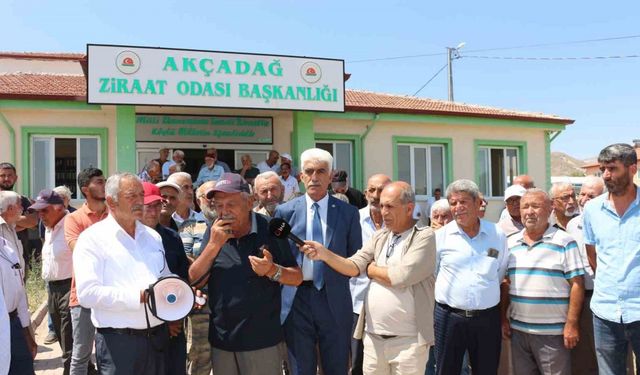 Malatya’da kayısı fiyatlarında istikrar arayışı sürüyor