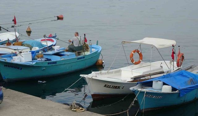 Yeni av sezonu öncesinde palamudun görüntü vermesi balıkçıları umutlandırdı