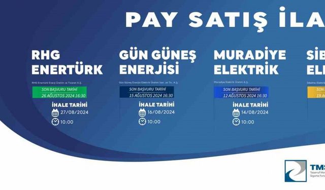 Yenilenebilir enerjide dev satış: TMSF enerji şirketlerini ihaleye çıkardı