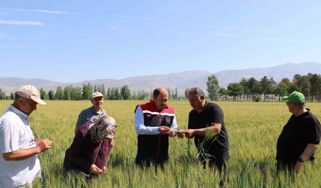 2024 Yılı Bitkisel üretim destekleri açıklandı