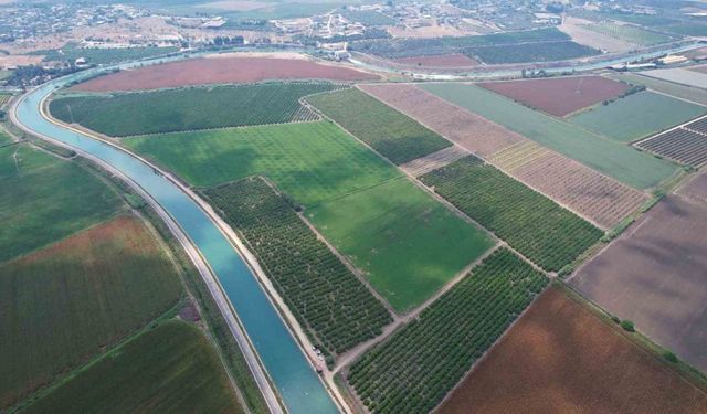 Adana çiftçisine ’su yok, ekim yapmayın’ uyarısı