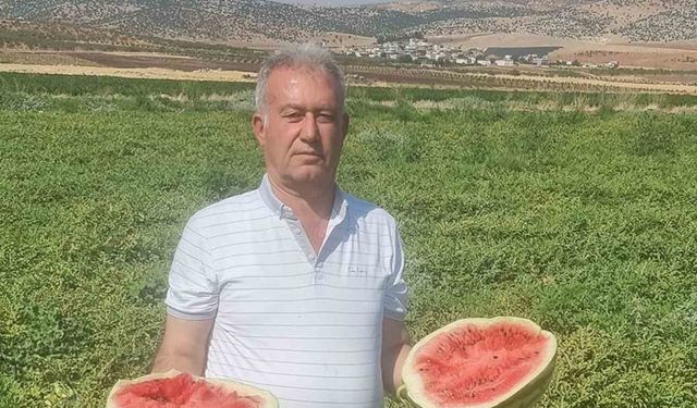 Altun: “Tarlada bedava, rafta ateş pahası”