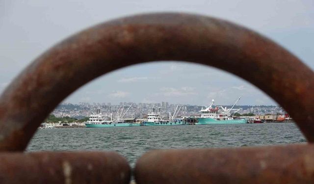 Balıkçıların ’hamsi kotası’ endişesi: "Altınla yarışacak"