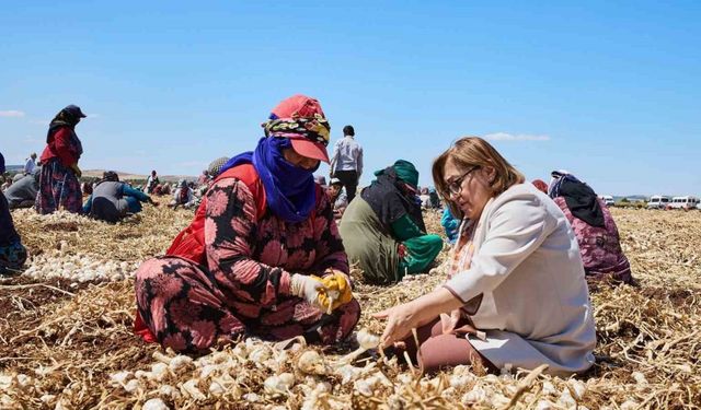 Çiftçiye 8 milyon 432 bin 925 litre mazot desteği verildi