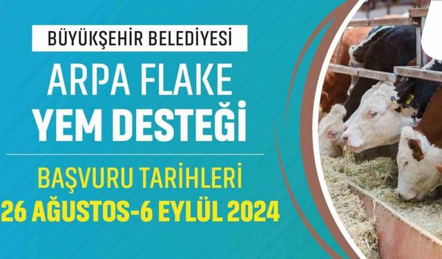 Denizli Büyükşehir büyükbaş hayvan üreticilerine yem desteği sağlayacak