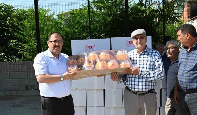 Denizli’de Akdeniz meyve sineği zararlısına karşı çiftçilere tuzak dağıtıldı