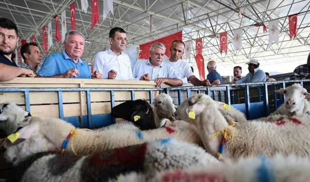 Honaz Belediyesi kadın üreticilerine koyun desteği verildi