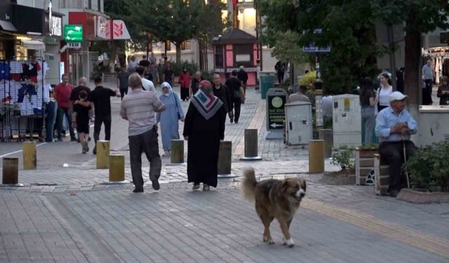 Kütahya kredi kullanımı ve batık kredi tutarında 40. sırada