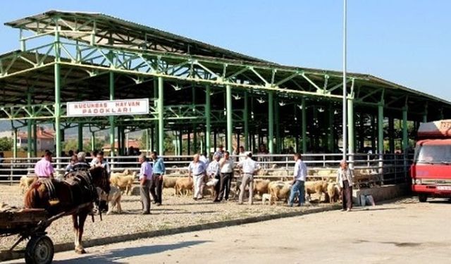 Sarıgöl Canlı Hayvan Pazarı ikinci bir emre kadar kapatıldı