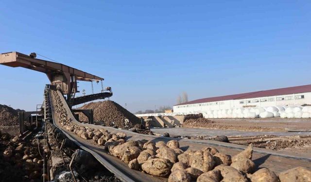 Malatya Şeker Fabrikası’nda hedef 55 bin ton şeker üretimi