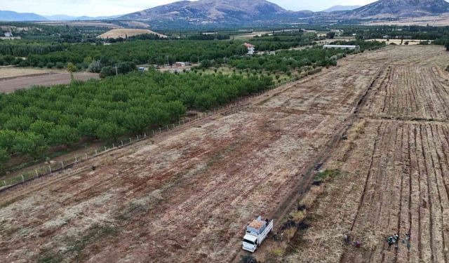 Malatya’da üretilen soğanlar Avrupa’ya ihraç ediliyor