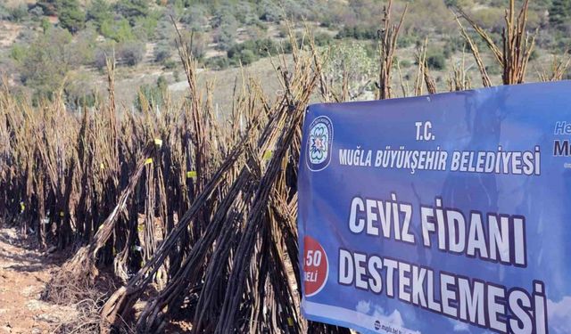 Muğla Büyükşehirden ‘Her Kapıda Bir Fidan’ projesi