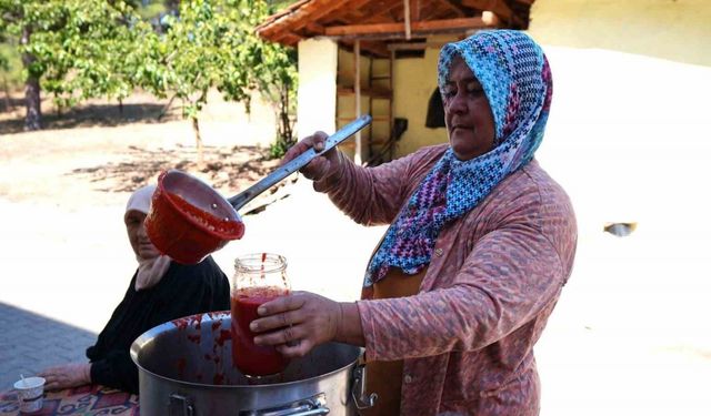 Salça makinesi domates üreticisinin yüzünü güldürdü