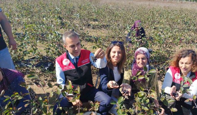 Erdek Kaymakamı Atasoy’dan Dünya Kadın Çiftçiler Günü Ziyareti