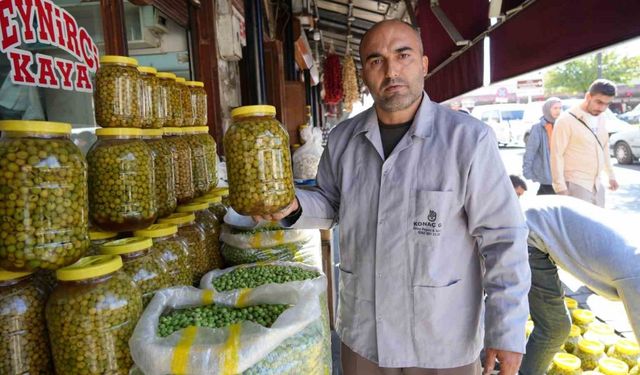 Gaziantep’te yeşil zeytinler tezgaha indi