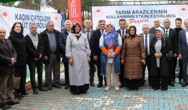 Sağlam: “Ülkemizde kadın üreticilerimize 21 yılda 15 milyar TL destek verildi”