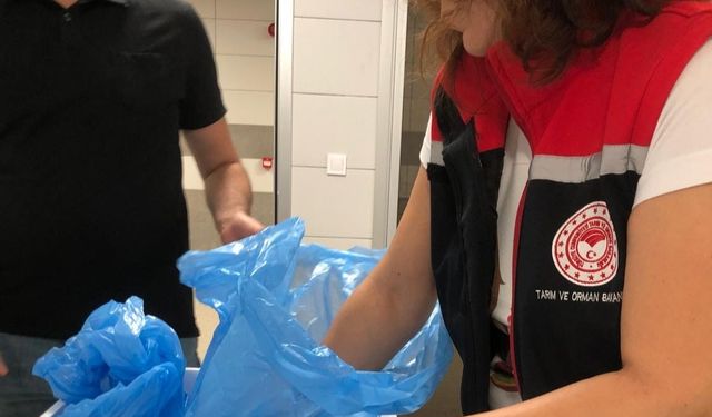 Söke 1 ayda 15 ülkeye ihracat yapıldı