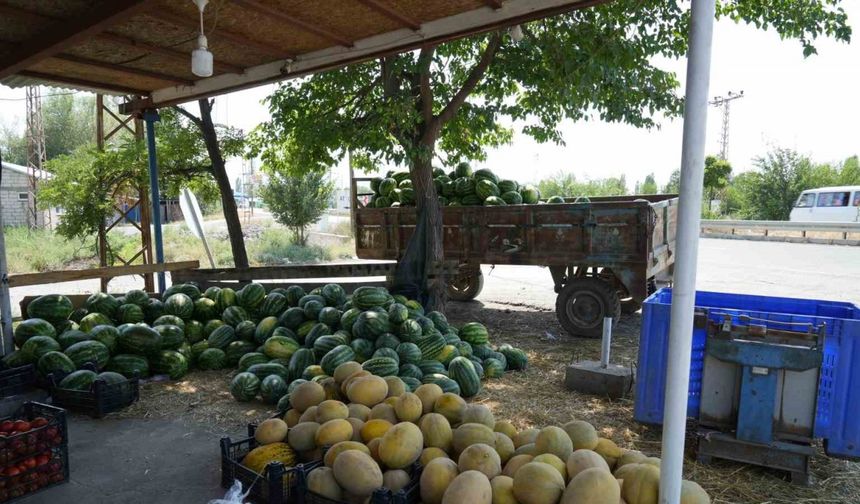 Doğu’nun Çukurova’sından çevre illere sebze ve meyve satılıyor