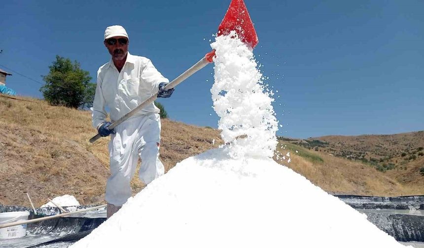 Bu tuzun içinde insan sağlığına yararlı 84 mineral bulunuyor