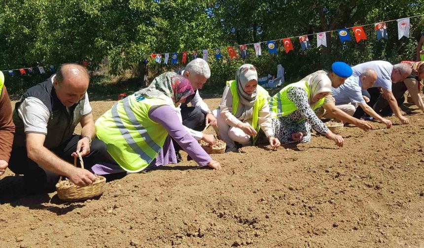 Dünyanın en pahalı baharatı safranın üretimine ORKÖY’den destek