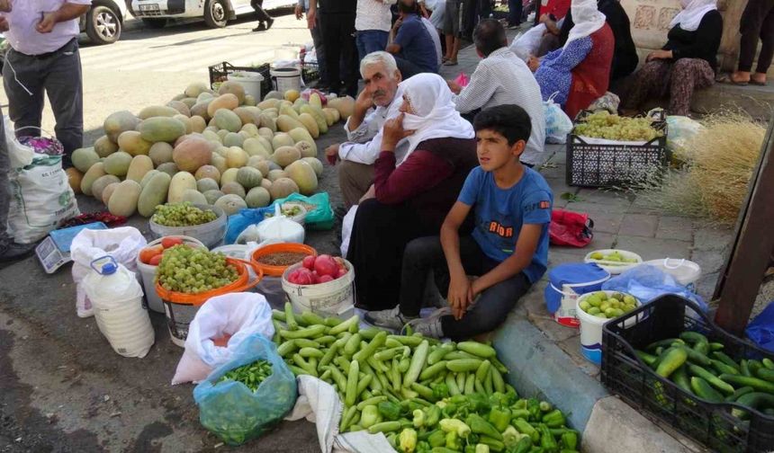 Gercüş’te organik ürünlerdeki bereket fiyatları düşürdü