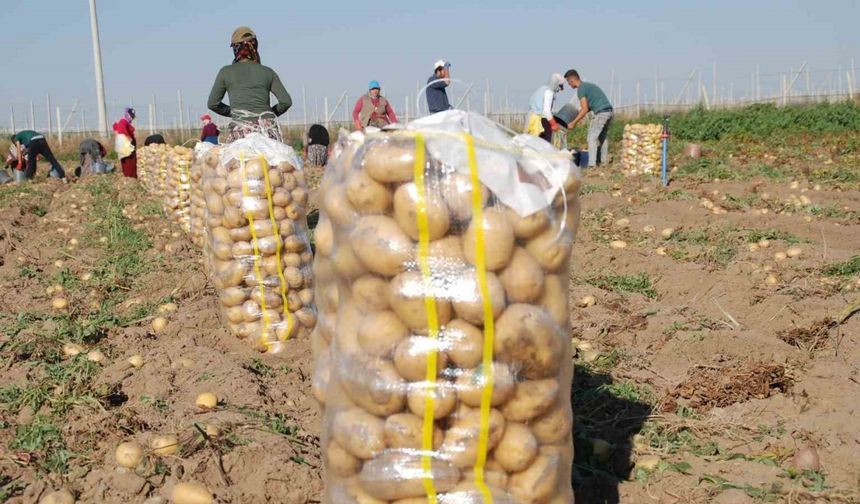 Tarım Kenti Niğde, Türkiye’de birçok üründe söz sahibi