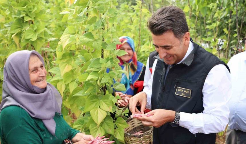 Türkiye’nin en güzel barbunyası: ’Kınık Barbunyası’