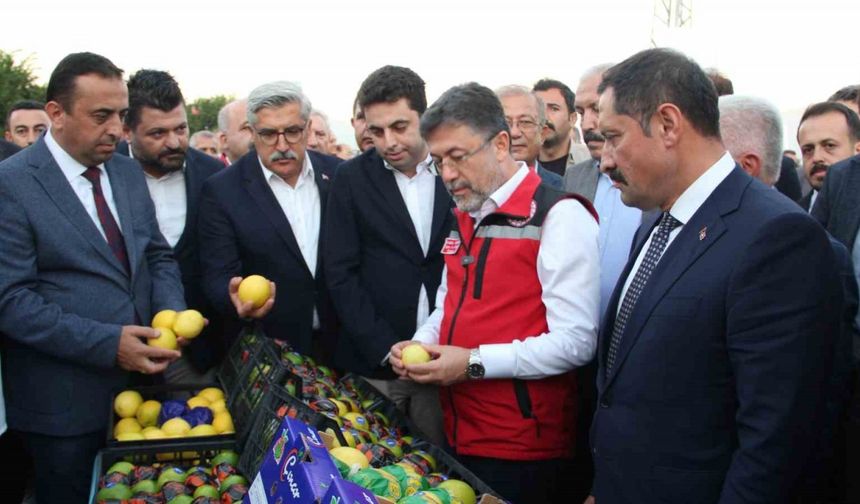 Bakan Yumaklı, narenciye hasadında sezon açılışını yaptı