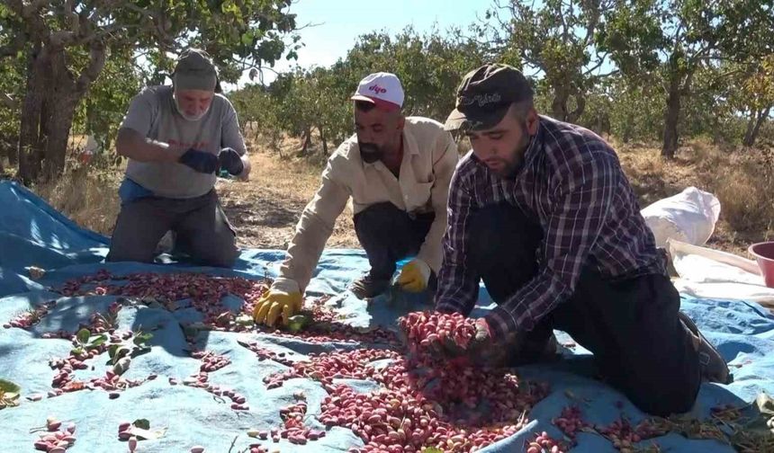 Elazığ’dan Gaziantep’e ’fıstıklı’ gözdağı