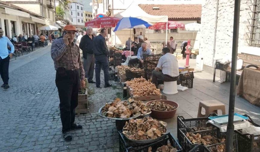 Kasa kasa kanlıca mantarında fiyatlar düştü