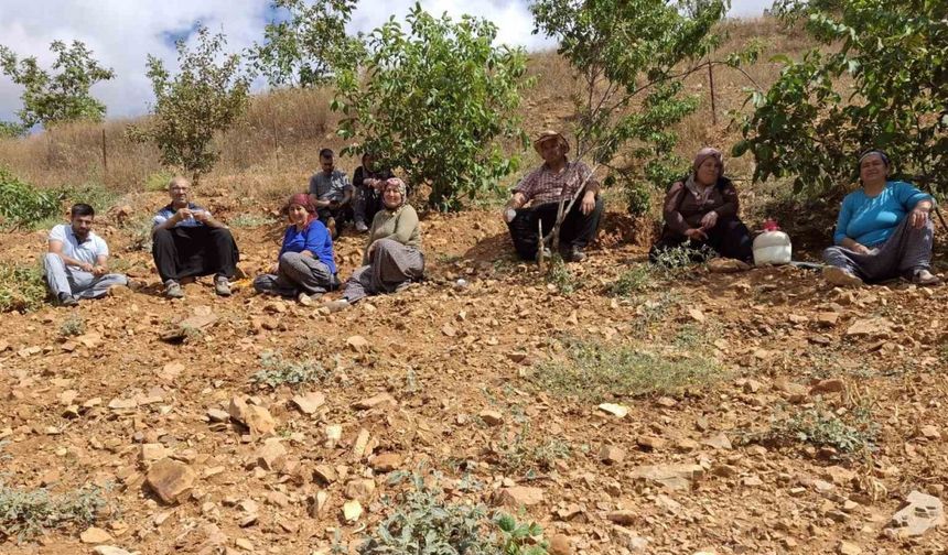 Lezzeti tescilli Tufanbeyli fasulyesi ilçe sınırlarını aştı