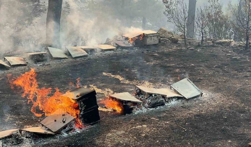 Muğla Büyükşehir’den yangından etkilenen arıcılara destek