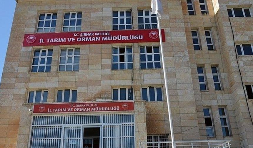 Şırnak’ta boş arı kovan desteği başvuruları başladı