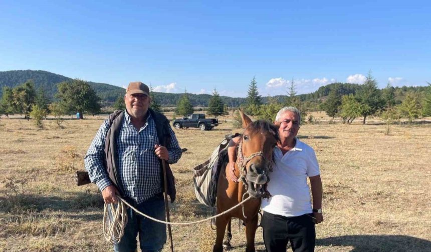 Yabani ağaçlarda yapılan aşılama meyve verimini artırdı