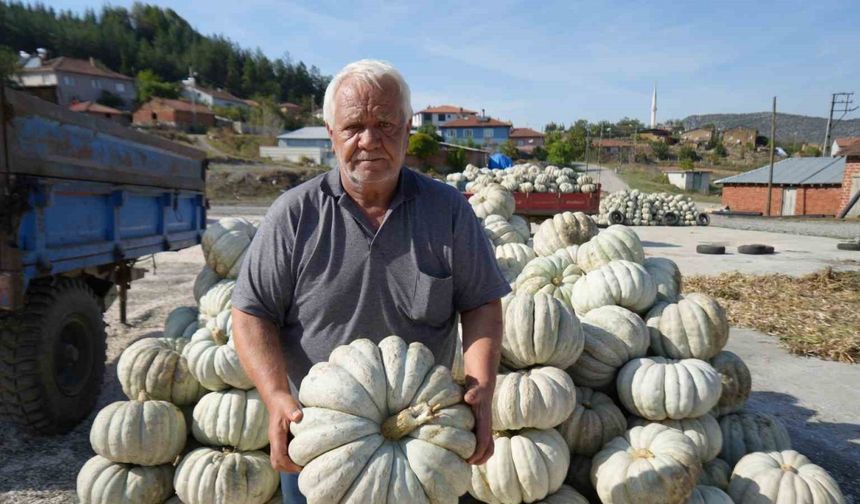 25 yıl önce deneme amaçlı ektiler, şimdi 40 şehre satıyorlar