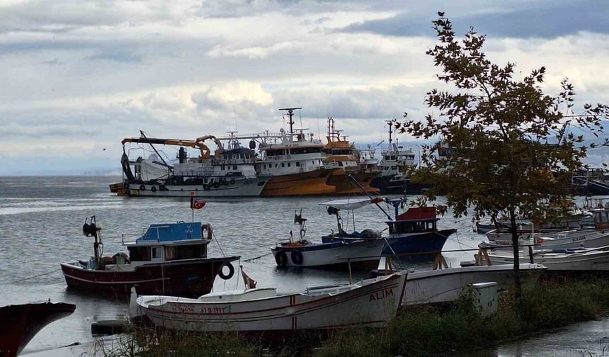 Balıkçı tekneleri şiddetli dalga ve fırtına yüzünden limanlara sığındı