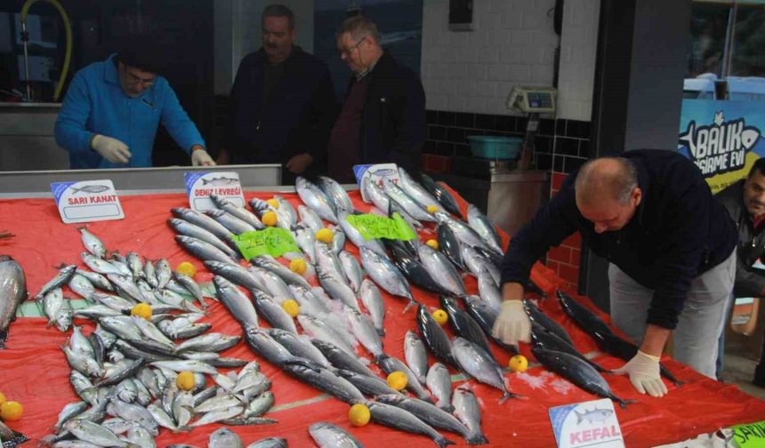 Hava şartları balık fiyatlarını etkiledi