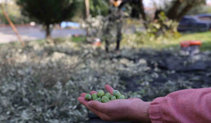 Turgutlu Belediyesi örnek uygulamasına devam ediyor