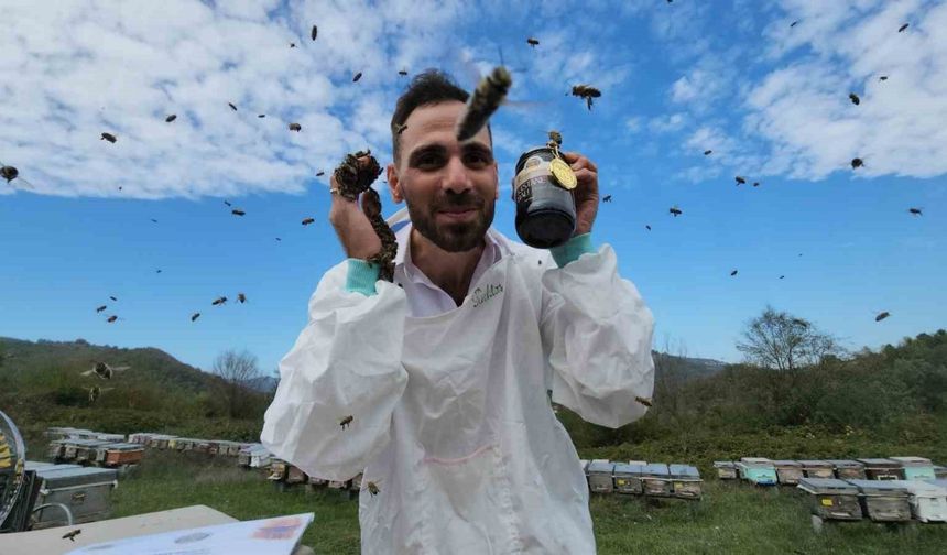 Zonguldak kestane balının kalitesi dünyaya ulaştı